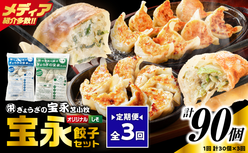 【定期便・全3回 毎月】手包み餃子 ぎょうざの宝永 しそ餃子30個セット（宝永餃子15個入×1袋・しそ餃子15個入×1袋） 定期便 定期 惣菜 総菜 ギョウザ しそ餃子 餃子 冷凍餃子 焼き餃子 水餃子