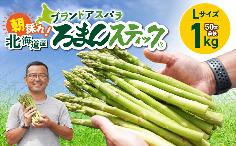 ロマンス農園 ろまんスティック Lサイズ 1kg アスパラガス 野菜 やさい Lサイズ 旨味 うま味 新鮮 やわらかい みずみずしい 糖度