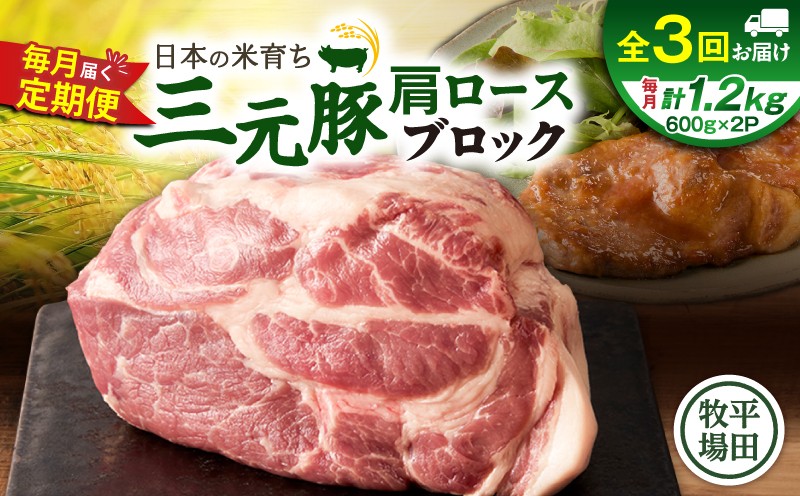 【全3回 毎月定期便】日本の米育ち平田牧場三元豚肩ロースブロック 1.2kg 定期便 定期 肉 お肉 にく 豚 豚肉 ブタ ぶた 三元豚