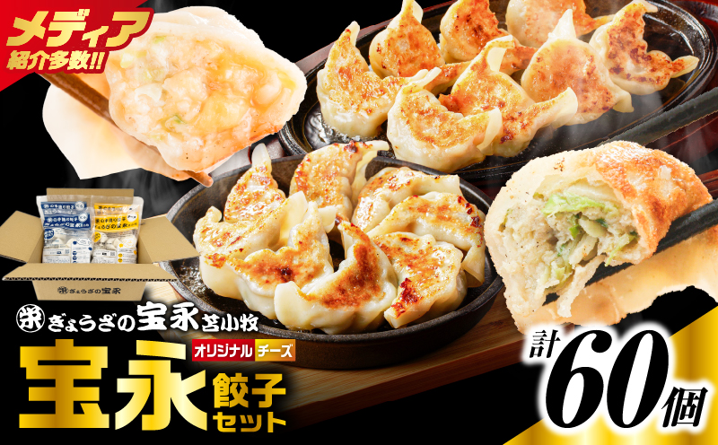 手包み餃子 ぎょうざの宝永 チーズ餃子60個セット（宝永餃子15個入×2袋・チーズ餃子15個入×2袋） 惣菜 総菜 餃子 ぎょうざ ギョウザ 冷凍餃子 冷凍 豚 ブタ 豚肉
