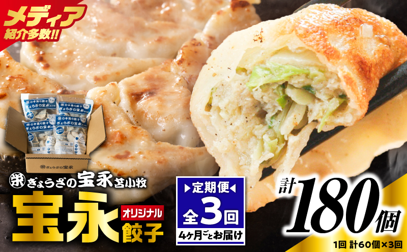 【定期便・全3回 4ヶ月毎】手包み餃子 ぎょうざの宝永 宝永餃子60個セット（宝永餃子15個入×4袋） 定期便 定期 惣菜 総菜 餃子 ぎょうざ ギョウザ 冷凍餃子 冷凍