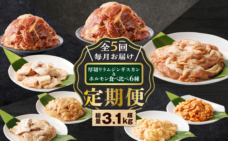 【全5回定期便】厚切りラムジンギスカン＋ホルモン食べ比べ6種セット 定期便 定期 豚 牛 羊 定期5回 ジンギスカン 厚切りジンギスカン 豚ホルモン ホルモン