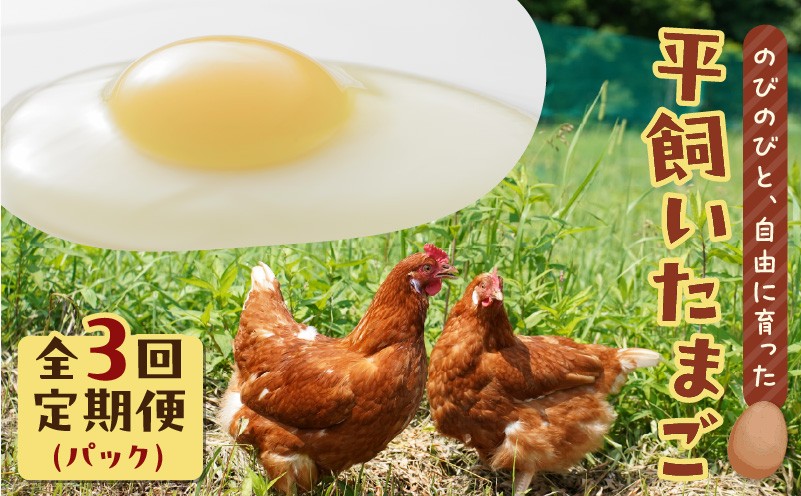 【全3回定期便】平飼いたまご 定期便 定期 卵 たまご 平飼い卵 卵かけごはん HokkaidoGreenCompany ふるさと納税 北海道 苫小牧市