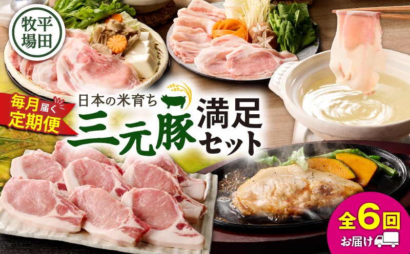【全6回 毎月定期便】日本の米育ち平田牧場の満足セット！ 定期便 定期 肉 お肉 にく 豚 豚肉 ブタ ぶた 三元豚