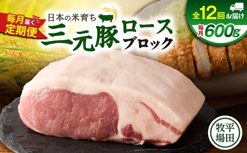 【全12回 毎月定期便】日本の米育ち平田牧場三元豚ロースブロック 600g 定期便 定期 肉 お肉 にく 豚 豚肉 ブタ ぶた 三元豚