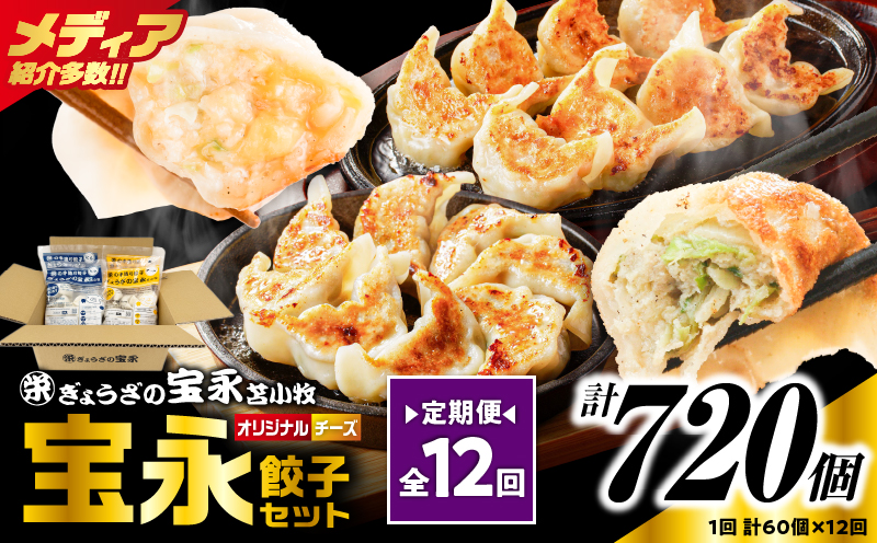 【定期便・全12回 毎月】手包み餃子 ぎょうざの宝永 チーズ餃子60個セット（宝永餃子15個入×2袋・チーズ餃子15個入×2袋） 定期便 定期 惣菜 総菜 餃子 ぎょうざ ギョウザ 冷凍餃子 冷凍