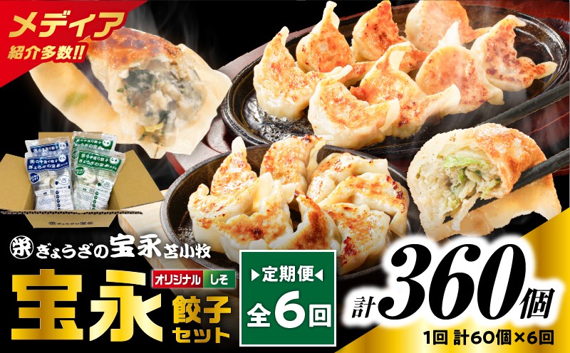 【全6回定期便（毎月）】ぎょうざの宝永 しそ餃子セット（宝永餃子 15個入×2袋＆しそ餃子 15個入×2袋）合計1.5kg 定期便 定期 惣菜 総菜 ギョウザ しそ餃子 餃子 冷凍餃子 焼き餃子 水餃子