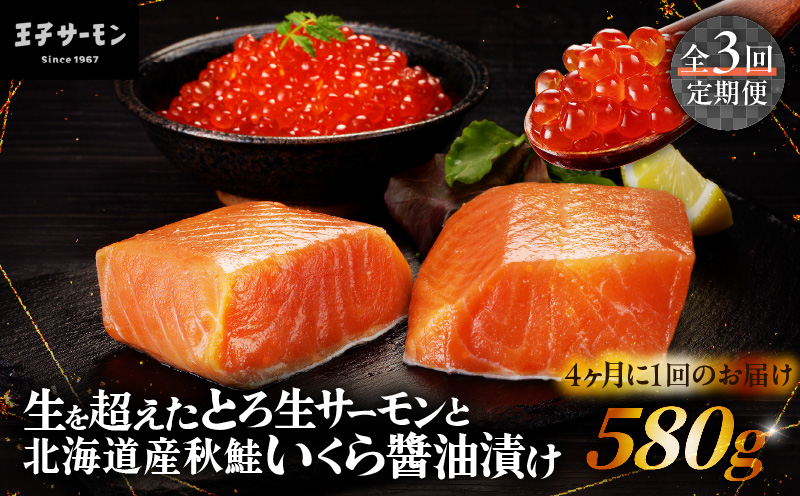 【全3回定期便（4ヶ月毎）】【王子サーモン】生を超えた「とろ生サーモン」と北海道産秋鮭 いくら醤油漬セット 計580g 魚 魚介