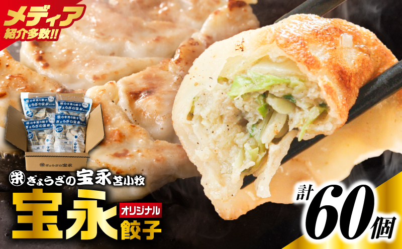 手包み餃子 ぎょうざの宝永 宝永餃子60個セット（宝永餃子15個入×4袋） 惣菜 総菜 餃子 ぎょうざ ギョウザ 冷凍餃子 冷凍 豚 ブタ 豚肉