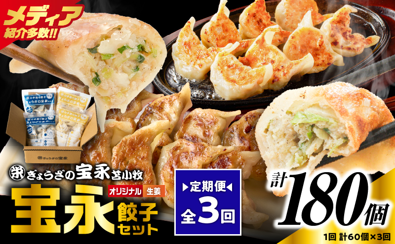【定期便・全3回 毎月】手包み餃子 ぎょうざの宝永 生姜餃子60個セット（宝永餃子15個入×2袋・生姜餃子15個入×2袋） 定期便 定期 惣菜 総菜 餃子 ぎょうざ ギョウザ 生姜餃子 冷凍餃子 冷凍