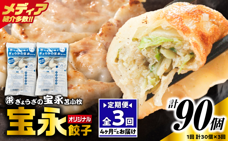 【定期便・全3回 4ヶ月毎】手包み餃子 ぎょうざの宝永 宝永餃子30個セット（宝永餃子15個入×2袋） 定期便 定期 惣菜 総菜 餃子 ぎょうざ ギョウザ 冷凍餃子 冷凍