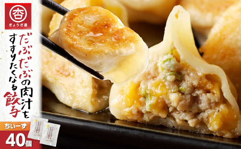 だぶだぶの肉汁をすすりたくなる餃子ちぃーず 40個 餃子 ぎょうざ ギョウザ 惣菜 総菜 豚 豚肉 ぶた 加工品 肉加工品
