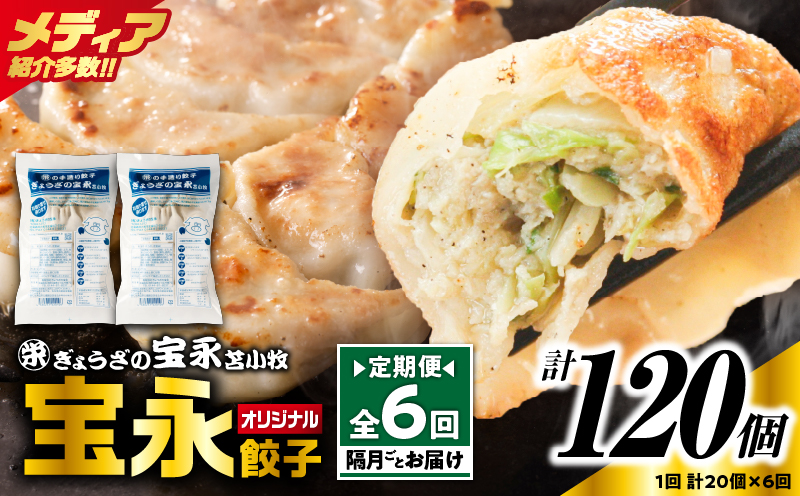 【定期便・全6回 隔月】手包み餃子 ぎょうざの宝永 宝永餃子20個セット（宝永餃子10個入×2袋） 定期便 定期 惣菜 総菜 ギョウザ 餃子 冷凍餃子 焼き餃子 水餃子 おかず