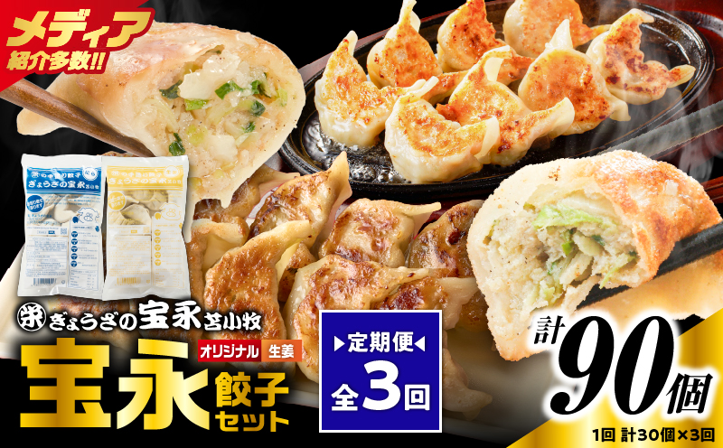 【定期便・全3回 毎月】手包み餃子 ぎょうざの宝永 生姜餃子30個セット（宝永餃子15個入×1袋・生姜餃子15個入×1袋） 定期便 定期 惣菜 総菜 餃子 ぎょうざ ギョウザ 生姜餃子 冷凍餃子 冷凍