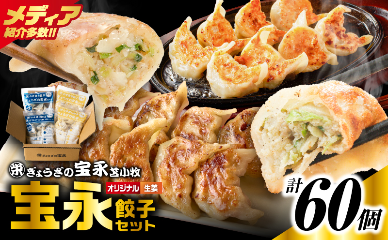 手包み餃子 ぎょうざの宝永 生姜餃子60個セット（宝永餃子15個入×2袋・生姜餃子15個入×2袋） 惣菜 総菜 餃子 ぎょうざ ギョウザ 生姜餃子 冷凍餃子 冷凍 豚 ブタ