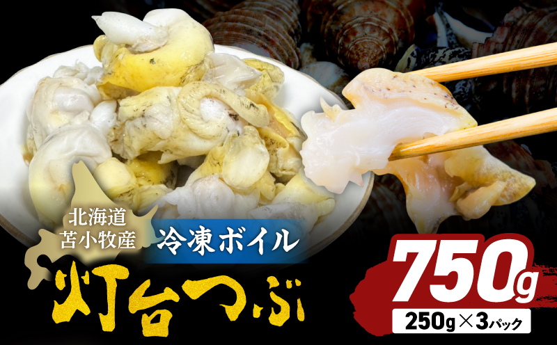 北海道苫小牧産 冷凍ボイル灯台つぶ（3パック入） つぶ 刺身 炉端焼き 煮付け 串焼き 冷凍ボイル 栄養豊富