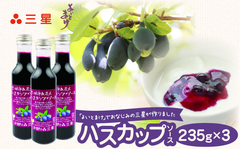 カナダ産 市民還元ハスカップソース 235g（3瓶） バニラアイス ヨーグルト フレーバー カクテル ビネガードリンク リキュール フルーツソース