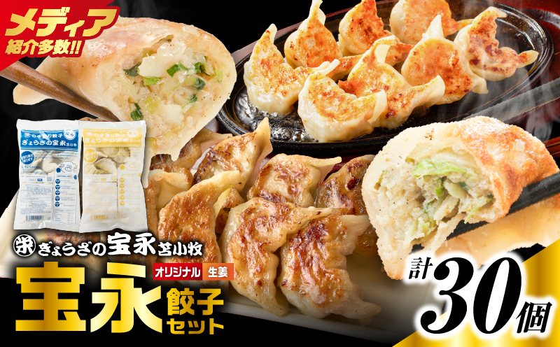 手包み餃子 ぎょうざの宝永 生姜餃子30個セット（宝永餃子15個入×1袋・生姜餃子15個入×1袋） 惣菜 総菜 餃子 ぎょうざ ギョウザ 生姜餃子 冷凍餃子 冷凍 豚 ブタ