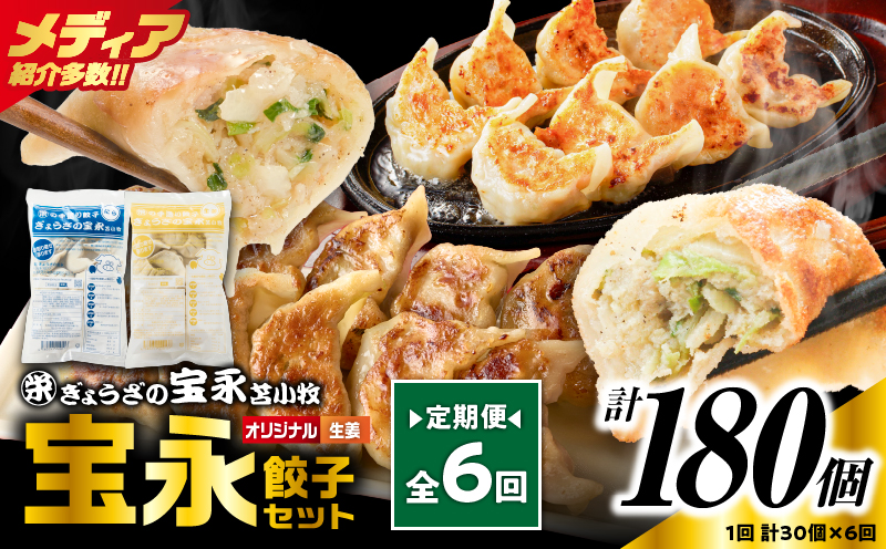 【定期便・全6回 毎月】手包み餃子 ぎょうざの宝永 生姜餃子30個セット（宝永餃子15個入×1袋・生姜餃子15個入×1袋） 定期便 定期 惣菜 総菜 餃子 ぎょうざ ギョウザ 生姜餃子 冷凍餃子 冷凍
