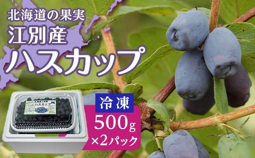 【北海道の果実】江別産ハスカップ（冷凍）500g×2パック EB8-0217