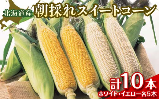 朝採れスイートコーン　10本（ホワイト/イエロー　各5本） EB8-0150 