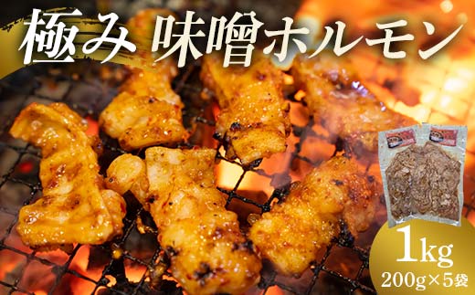 極み味噌ホルモン 1kg(200g×5袋)  EB8-0323