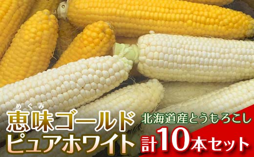 【2026年8月中旬発送開始】北海道産とうもろこし（恵味ゴールド5本・ピュアホワイト5本セット） EB8-0448 