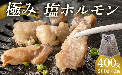 極み塩ホルモン 400g(200g×2袋)  EB8-0322