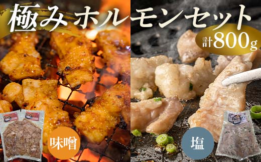 極みホルモンセット 合計800g(塩ホルモン 400g・味噌ホルモン 400g)  EB8-0327
