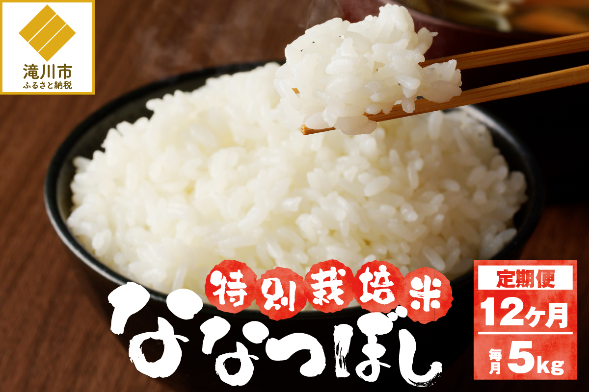 《令和7年産》特別栽培米ななつぼし 5kg×12ヵ月定期便 | 16年連続特A ブランド米 白米 精米 米 お米 こめ 減農薬 単一原料米 ご飯 北海道米 北海道 滝川市