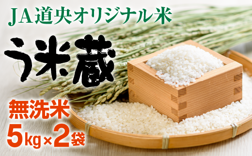 【無洗米】北海道米う米蔵5kg×2（計10kg）【29002304】