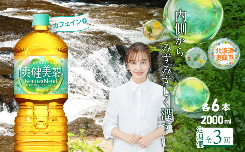 『定期便：全3回』爽健美茶2000mlPET×6本【38000802】