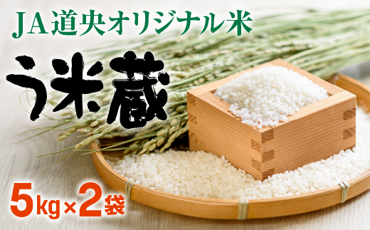 北海道米う米蔵10kg(5kg×2袋)セット【29002404】