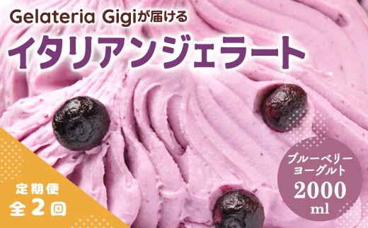 【定期便：全2回】ジェラテリアGigiのイタリアンジェラート『ブルーベリーヨーグルト』2000ml【43005703】