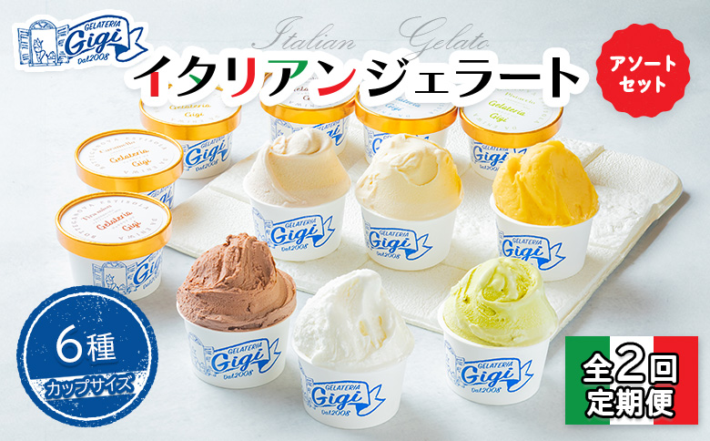 【定期便：全2回】ジェラテリアGigiのイタリアンジェラート6種アソートセットカップサイズ【43004102】