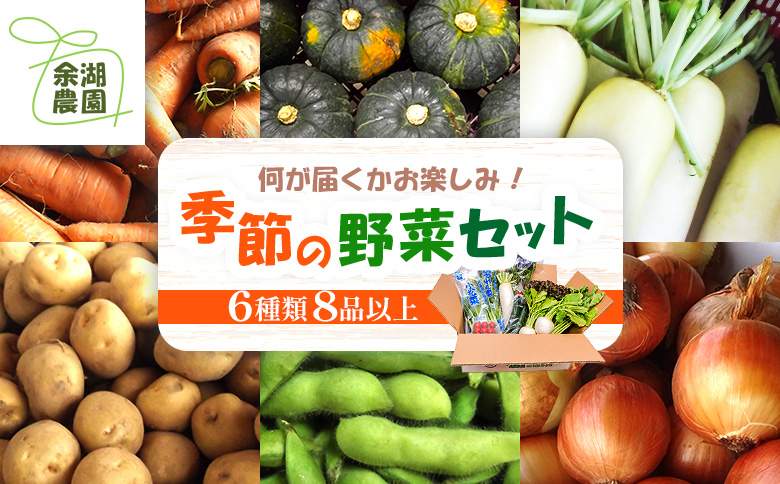 北海道産季節の野菜詰め合わせ 6種類8品【31000503】