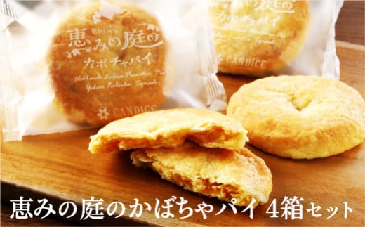 恵みの庭のかぼちゃパイ4箱セット（4個×4箱）【24000101】