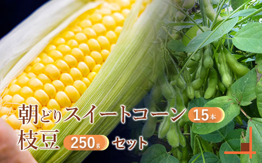 【北海道恵庭市産】枝豆250g×3パック＆朝どりスイートコーン×15本 北海道産 枝豆 とうもろこし【31000203】