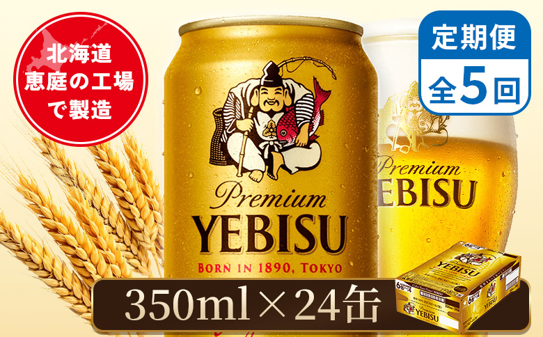 【定期便：全5回】サッポロヱビスビール 350ml×24本【880060021905】