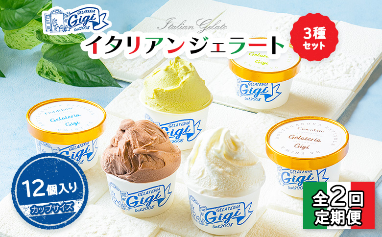 【定期便：全2回】ジェラテリアGigiのイタリアンジェラート3種セット【カップサイズ12個】 牛乳4、ピスタチオ4、チョコレート4【43007302】