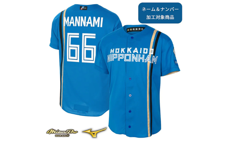 【支配下全選手対応】プロコレユニフォーム ビジター Lサイズ【ネーム＆ナンバー加工対象商品】