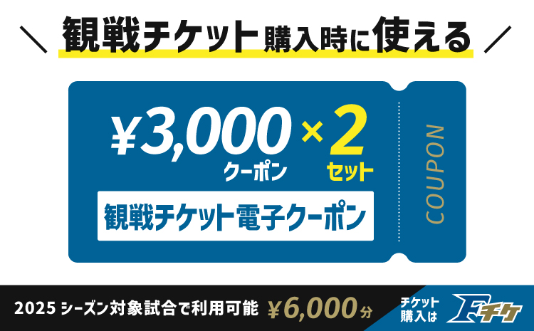 【2025年に使える！】試合観戦チケット電子クーポン3,000円分×2セット《翌営業日発送》