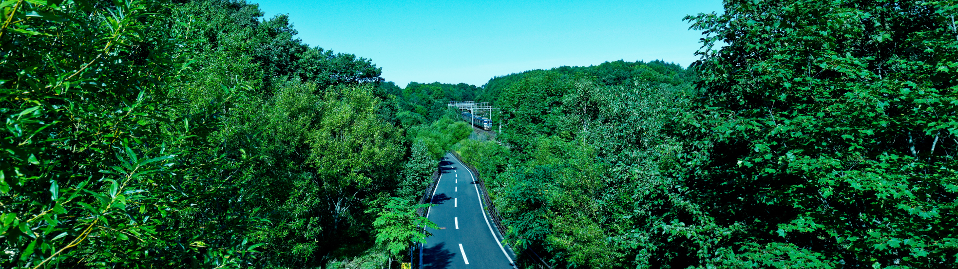 〇〇〇県 〇〇〇〇〇〇市