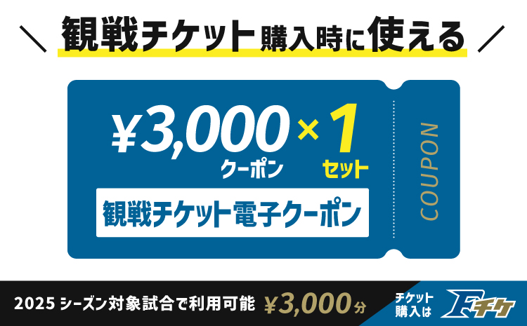 【2025年に使える！】試合観戦チケット電子クーポン3,000円分×1セット《翌営業日発送》 