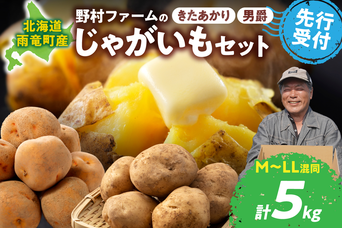 【先行予約】【9月下旬発送】北海道産 じゃがいも食べ比べセット 「きたあかり・男爵」 5kg  ジャガイモ 芋 いも 秋野菜 季節の野菜 直送農場 北海道雨竜町産 サイズ混同 野菜 U012-0005