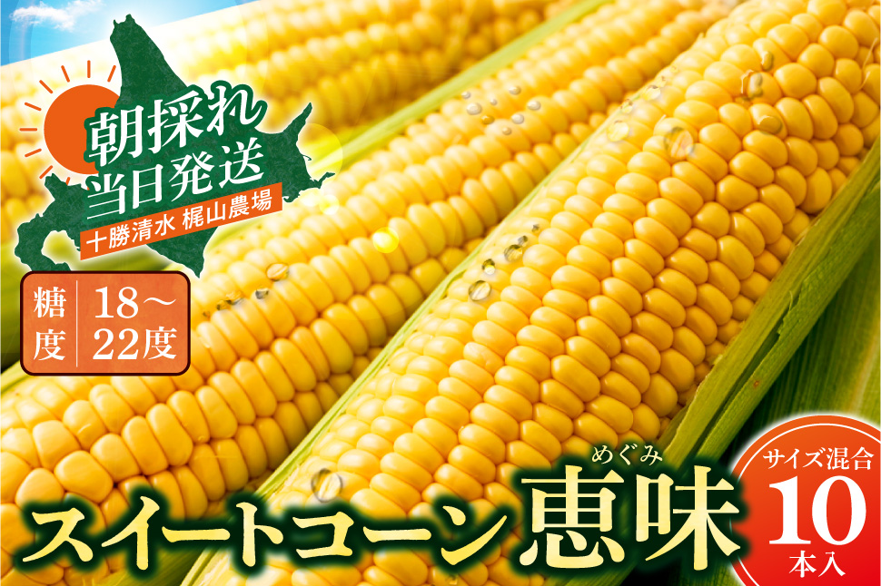 先行受付！【2026年8月頃～発送開始！】北海道十勝清水町産 恵味 サイズ混合 10本 北海道産 2026年 とうもろこし とうきび 産直 産地直送 清水町 北海道