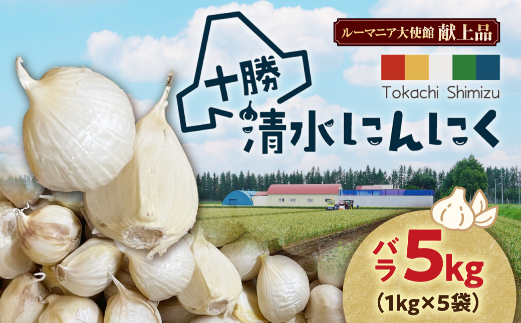 【北海道産】十勝育ちのにんにく バラ5kg にんにく ニンニク ガーリック にんにく 北海道産 にんにく_S021-0026