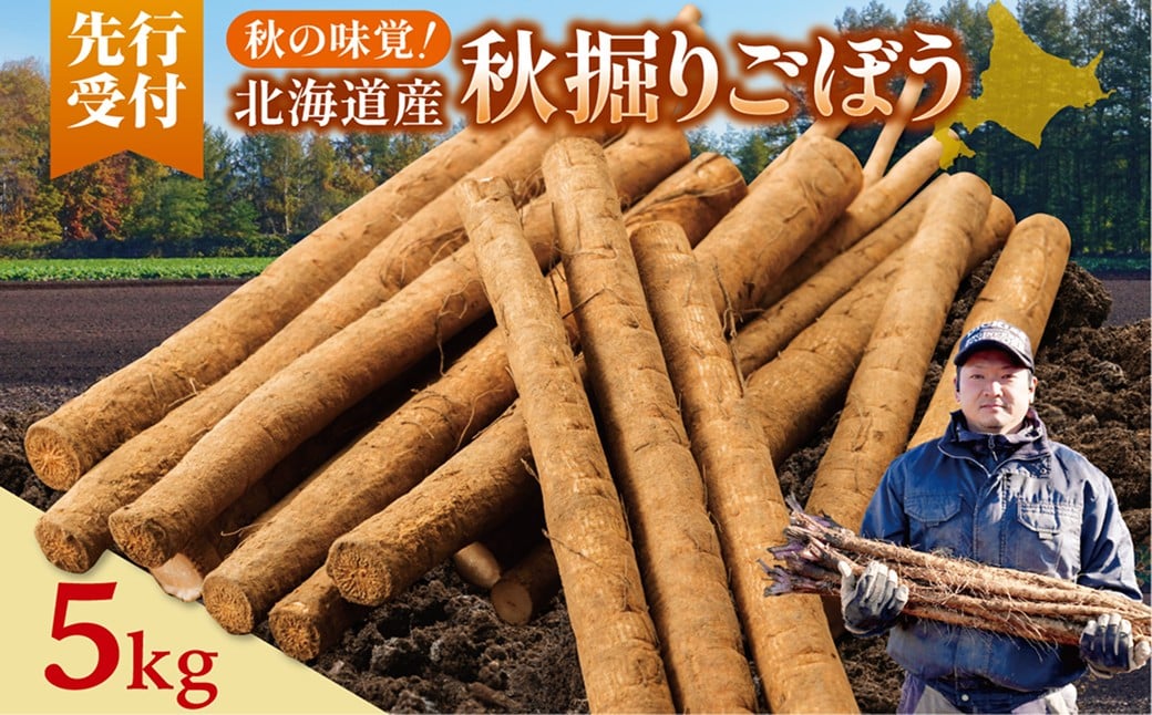 【先行予約】2026年秋 北海道十勝清水町産 秋堀りごぼう 5kg 土付き 手作業収穫 食物繊維豊富 新鮮 野菜 秋の味覚_S045-0003