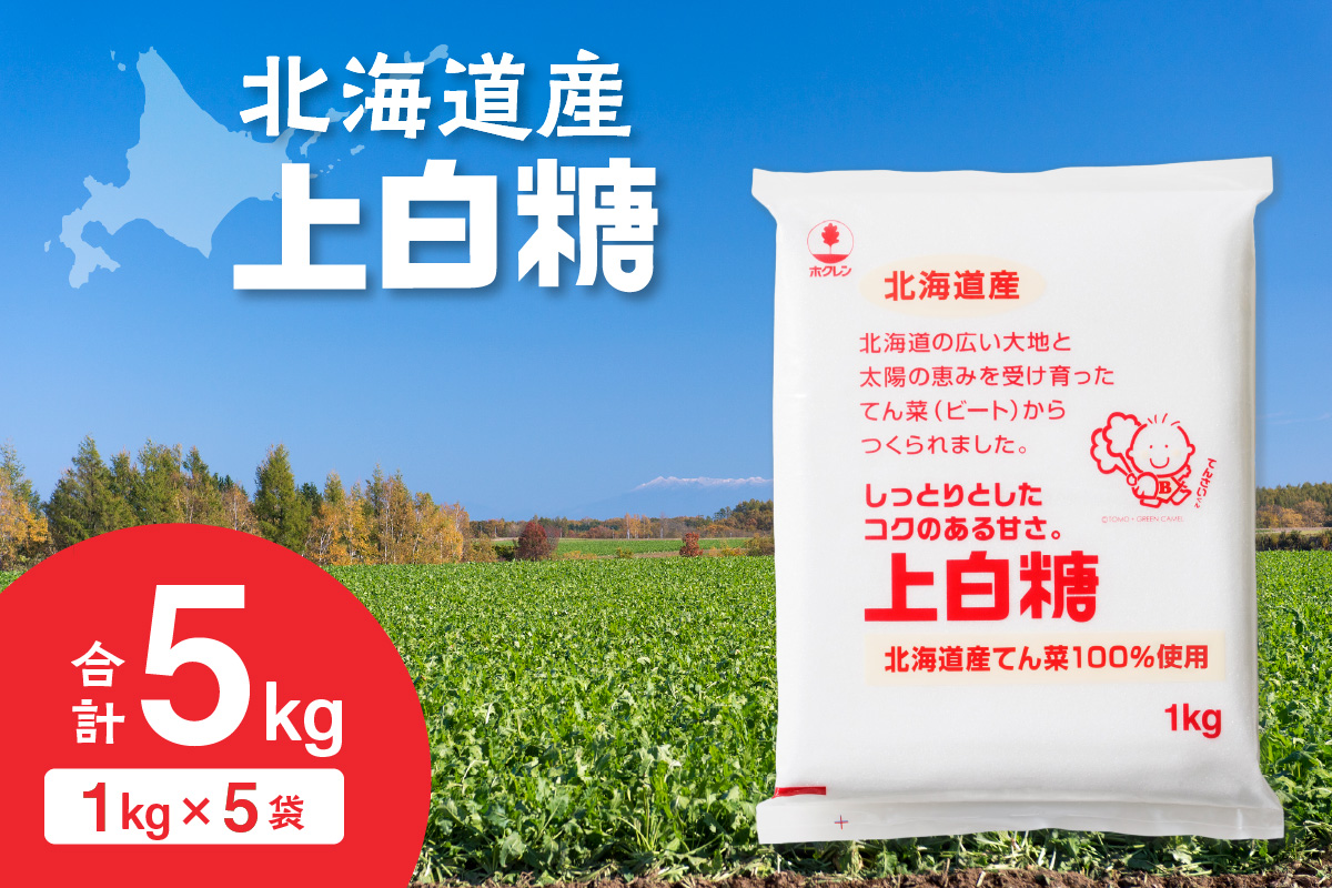 ホクレン の 上白糖 1kg × 5袋 【 てん菜  北海道産 砂糖 お菓子 料理 調味料 ビート お取り寄せ 北海道 清水町  】