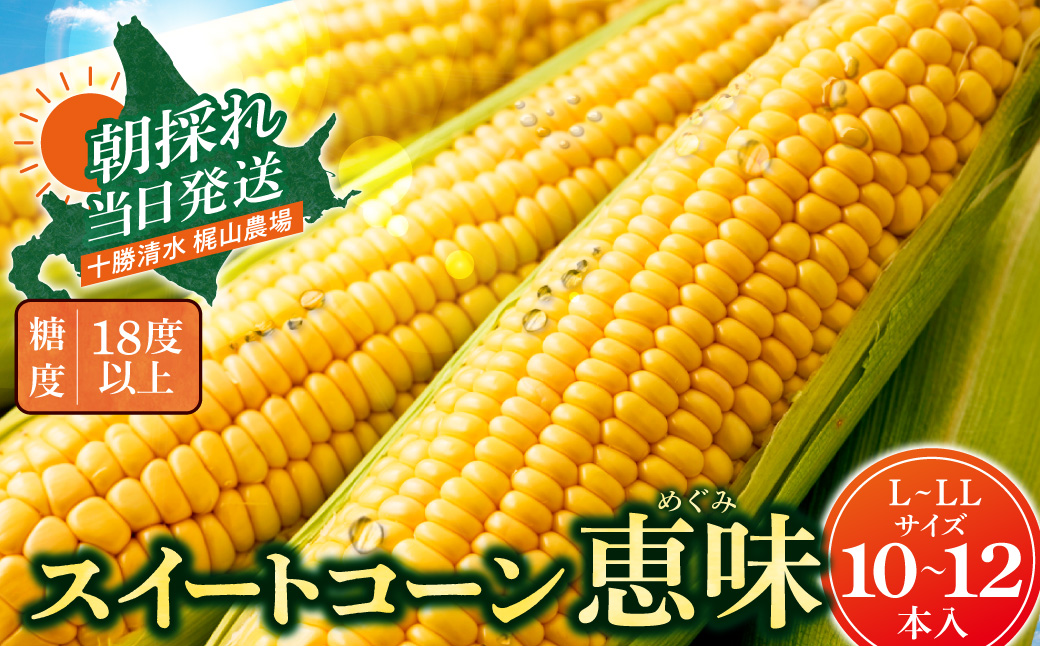 先行受付！【2026年8月頃～発送開始！】北海道十勝清水町産 恵味 サイズ混合 10本 北海道産 2026年 とうもろこし とうきび 産直 産地直送 清水町 北海道